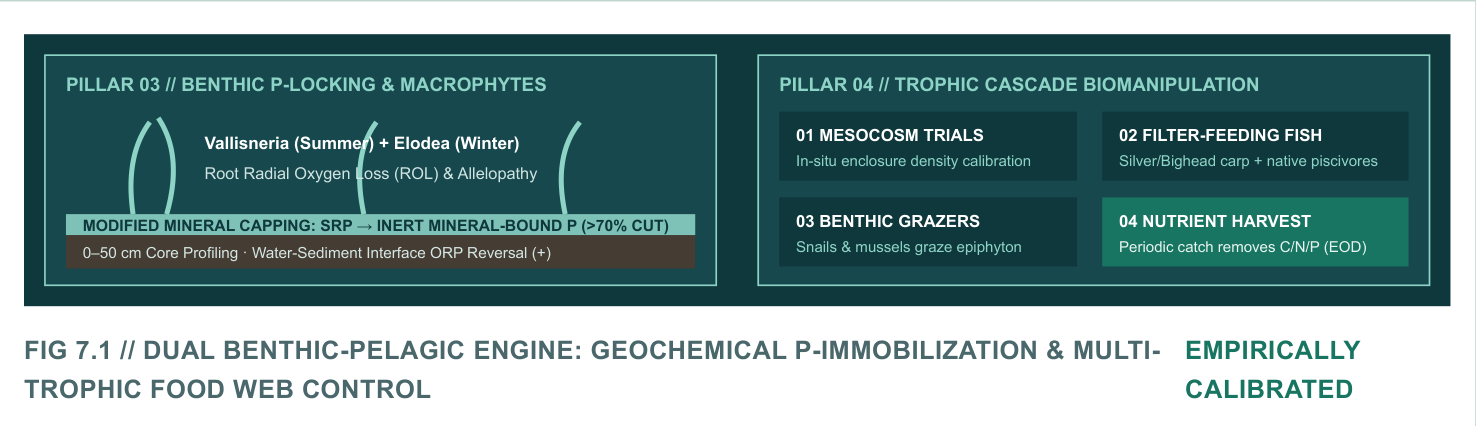 Brochure sequence: mesocosm trials, filter-feeding fish, benthic grazers and periodic nutrient harvest.